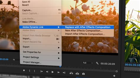 I am a filmmaker by profession and it is highly essential to present a concise production to my audience at all times. Adobe Dynamic Linking: Everything You Need to Know | Pond5