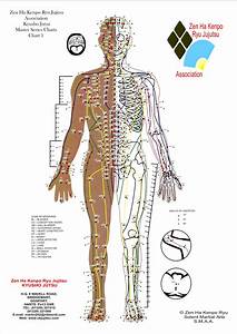 Pressure Point Chart 1 Acupressure Points Chart Martial Arts Humor