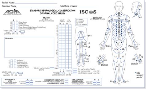 Spinal Cord Injury Clinical Gate