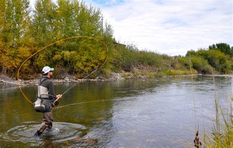 Trouts Fly Fishing Fall Switch And Spey Casting Clinic October 19th