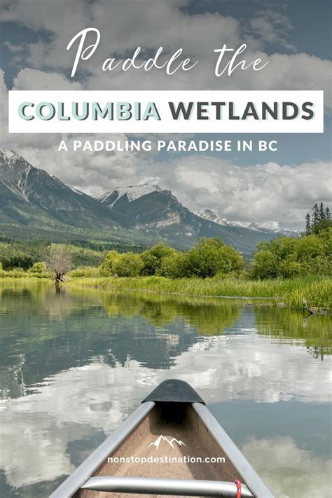 Exploring The Columbia Wetlands A Paddling Paradise In Bc Non Stop