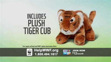 World Wildlife Fund Tv Commercial Wwf On Tv Tigers Ispottv