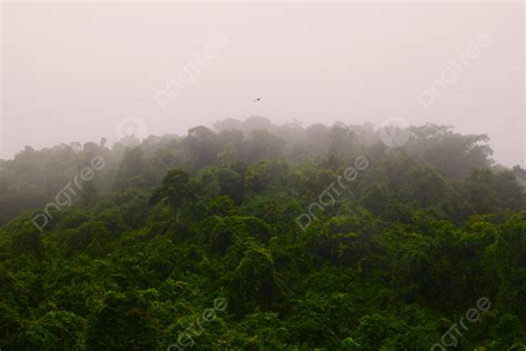 Background Foto Peta Fotografi Pemandangan Alam Kabut Gunung Pagi Hari