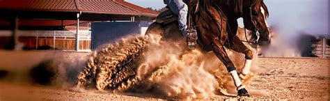 Riding Arena For Reining Western Equestrian Sport