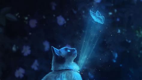 Wallpaper Cat Butterfly Illusion Light Art Hd Picture Image