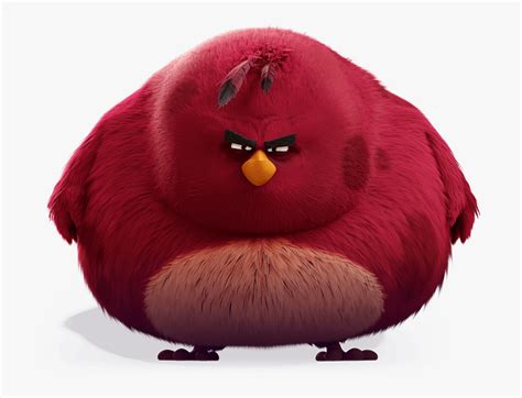 Big Red Bird From Angry Birds Hd Png Download Kindpng