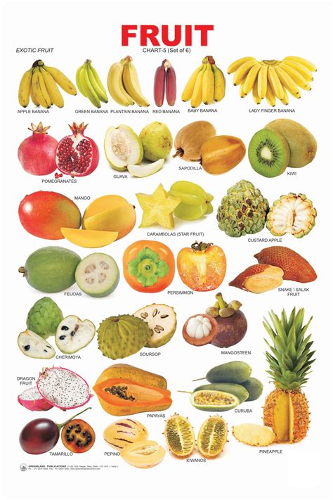 Fruit Chart 5 Online In India Buy At Best Price From 81098