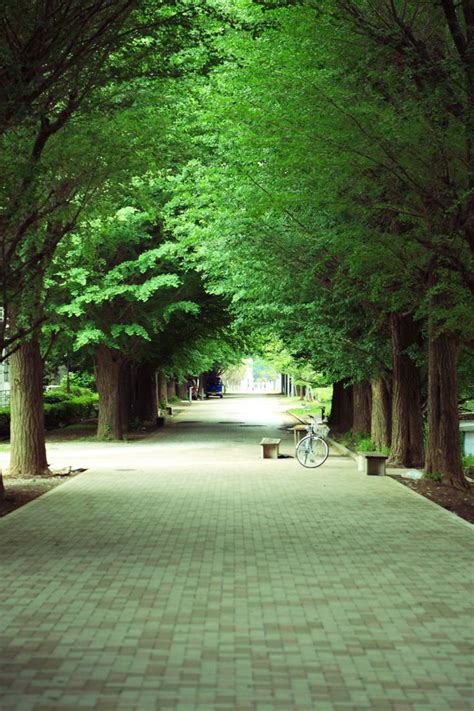 Looking for sad background images? mrhayata@Flickr | Best background images, Dslr background ...
