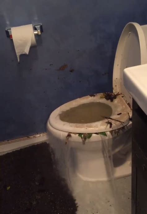 How To Flood Water Come In Through A Toilet Love And Improve Life