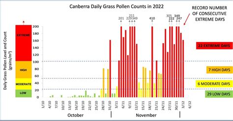 Canberra Pollen Breaks Records As Tga Approves First New Antihistamine