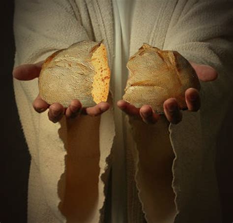 “i Am The Bread Of Life” What Did Jesus Mean In John 635