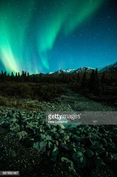 Aurora Borealis Plant Photos And Premium High Res Pictures Getty Images