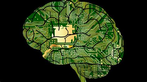 Smart Peoples Brains Wired Differently Study