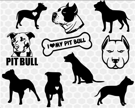 The american bully comes in 4 recognized sizes. Pitbull clipart svg, Pitbull svg Transparent FREE for ...
