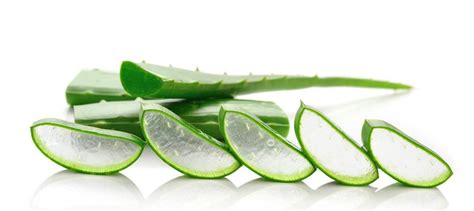 Uploaded at march 02, 2018. Natural Treatment of Vitiligo with Aloe Vera - Natural ...