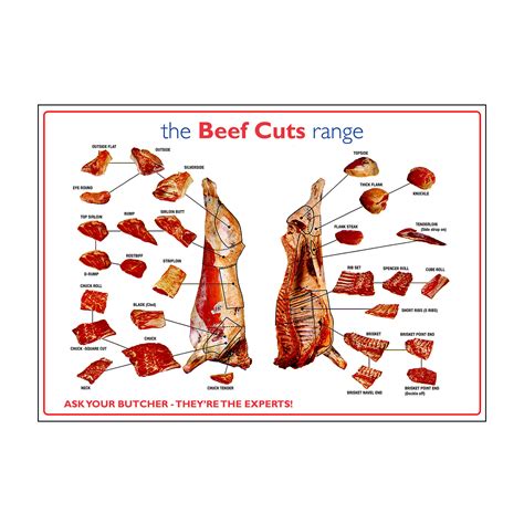 Butchers Cuts Of Meat Poster Catersigns