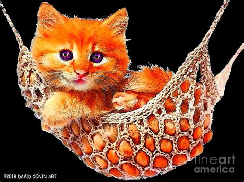 Lovely French Cat Digital Art By David Conin Fine Art America