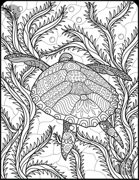 Get This Ocean Coloring Pages For Adults Free Printable Sea Turtle