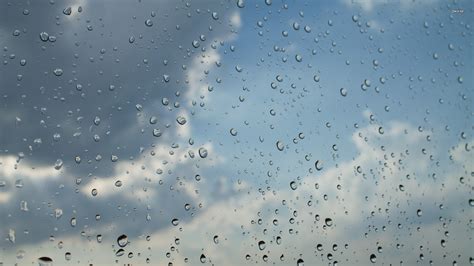 Free Download Raindrops On The Window Wallpaper Photography Wallpapers