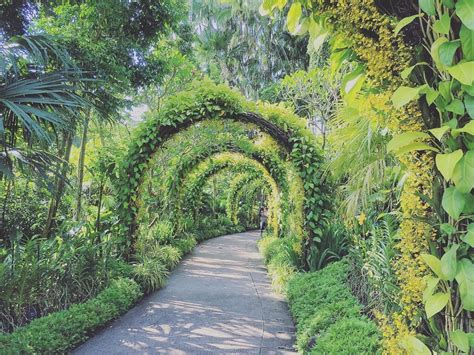 Singapores Unesco Botanical Garden Is A Wonderland Of Beauty