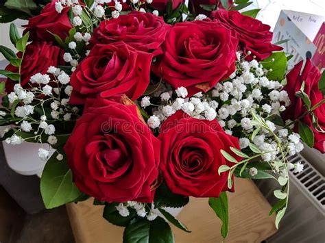 Bunch Of Red Roses In A Vase Stock Photo Image Of Bunch Roses 128249568