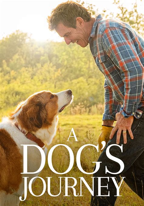 Sure, it's manipulative at times, but three films in, the audience and filmmakers know the dog film checklist like the back of their hand. A Dog's Journey (2019) | Kaleidescape Movie Store