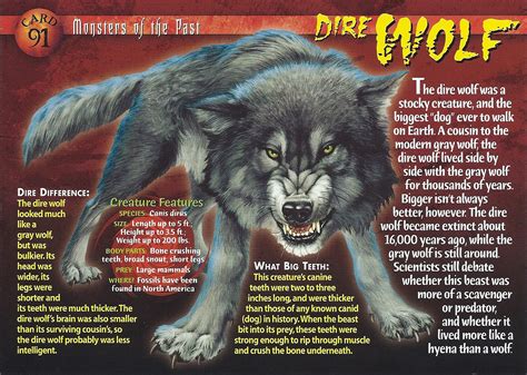 Dire Wolf Wierd Nwild Creatures Wiki Fandom Powered