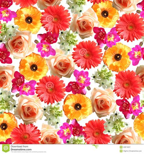 Seamless Flower Print Stock Image Image Of Element Pink