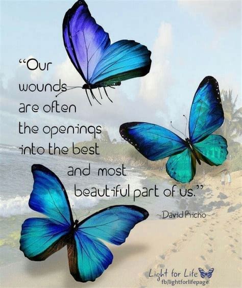 Beautiful Butterfly Images With Quotes ShortQuotes Cc
