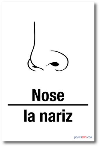 La Nariz Nose In Spanish New Foreign Language Educational Poster