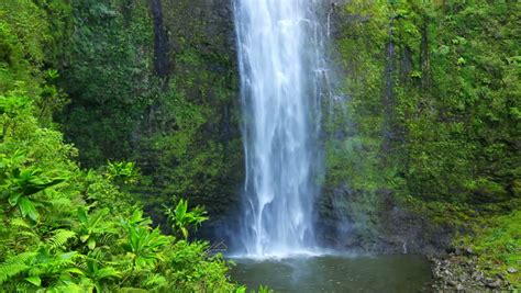 Majestic Lush Tropical Jungle Waterfall In Hawaii Stock Footage Video