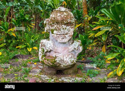 Smiling Tiki Carved Stone Tiki Polynesian Sacred Idol Statue Hidden In Jungle Raivavae