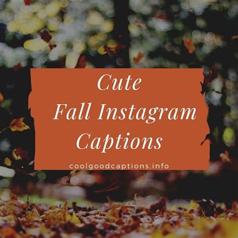 Selfie Instagram Captions Fall Daily Quotes