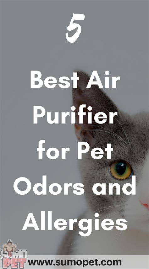 I bought it because there was a lot of pollen and cat dander in my house which was making my. 5 Best Air Purifier for Pet Odors and Allergies [2020 ...