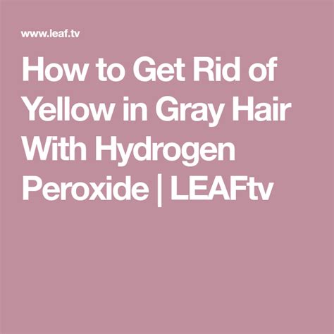 Freshly dyed grey hair is fabulous. How to Get Rid of Yellow in Gray Hair With Hydrogen ...