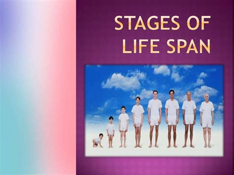 Stages Of Life Span Puberty To Old Age