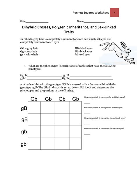 U n i t 3 : How To Do A Dihybrid Cross Worksheet