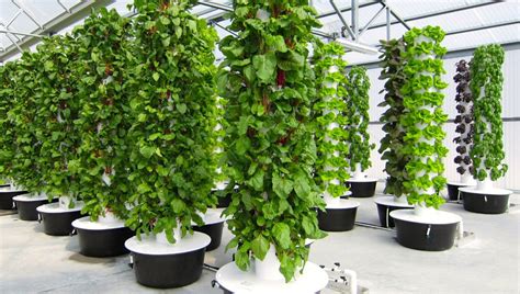 Lets Have A Closer Look At The Best Indoor Garden Towers Aerogarden