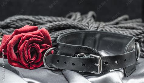 Bdsm Still Life Black Human Collar Scarlet Rose Hank Of Black Rope