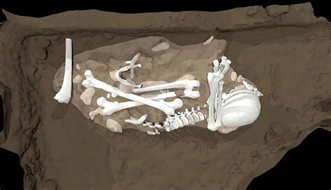 Claims That Homo Naledi Buried Their Dead Could Alter Our Understanding