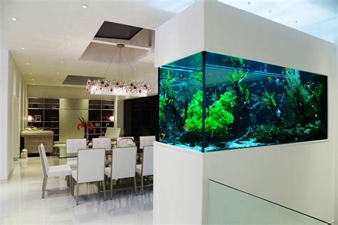 Freshwater Room Divider Aquarium Aquarium Architecture In 2021