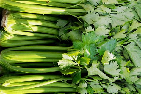 How To Use Celery Leaves Foodprint