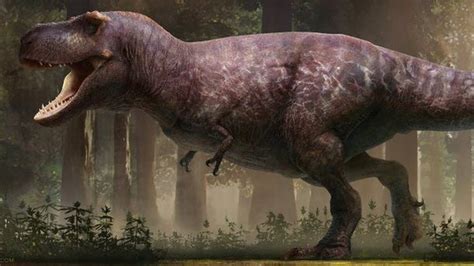 Actualizar Imagem Sobre O Dinossauro Rex Br Thptnganamst Edu Vn