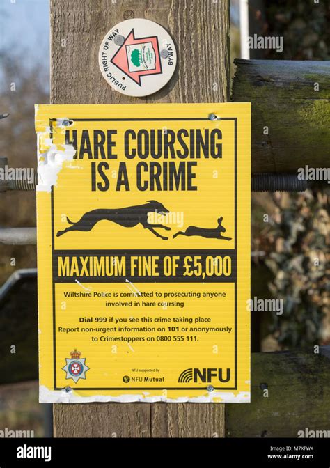Hare Coursing Is A Crime Nfu National Farmers Union Notice Wiltshire