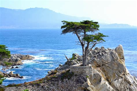Monterey And The Lone Cypress Exploring Our World Beautiful Places