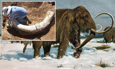 Woolly Mammoth To Be Brought Back To Life From Cloned Bone Marrow Within Five Years Daily