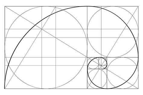 Let Us Understand What Is Golden Ratio Composition And How Can It