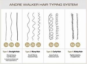Hair Types Women Health Info Blog