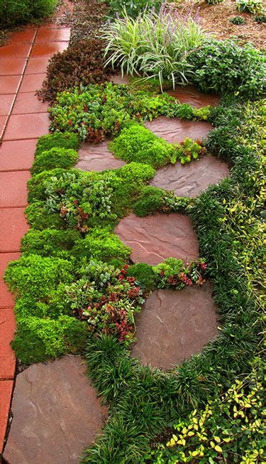 Extensive array of colorful and seasonal plants for your projects. Groundcover Sedums Make Sense | Costa Farms | Outdoor ...