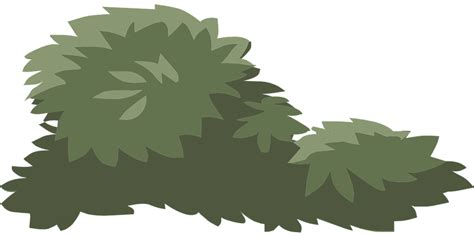 Bush Shrub Green · Free Vector Graphic On Pixabay